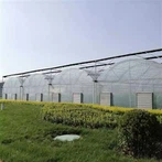 बड़ी फिल्म ग्रीन हाउस