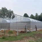 सब्जी सुरंग ग्रीनहाउस